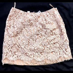 Philosophy Alberta Ferretti Nude Pink Lace Skirt